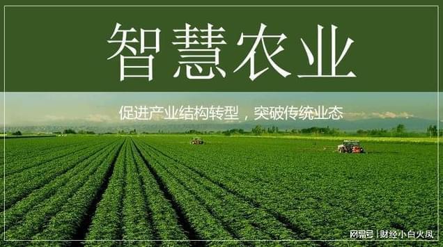 黃金河虎多大魚缸能養(yǎng)活(黃金虎魚多大繁殖)