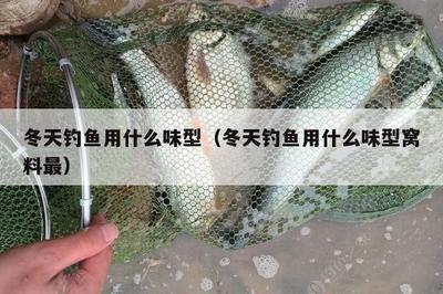 紅龍魚的壽命是多少年：關于紅龍魚壽命的詳細信息