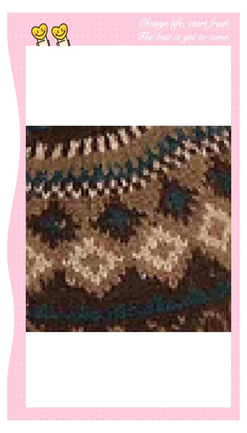 紅龍傳說中的神秘力量，《紅龍傳說》五色龍你知道哪些搜狐·歷史探索傳奇世界