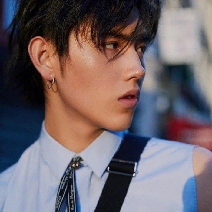 安陽龍魚店，安陽地區(qū)的龍魚相關店鋪呈現(xiàn)多樣化經(jīng)營特點