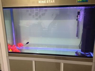 閩江魚缸漏水維修費(fèi)用：閩江地區(qū)魚缸漏水維修費(fèi)用的具體詳情