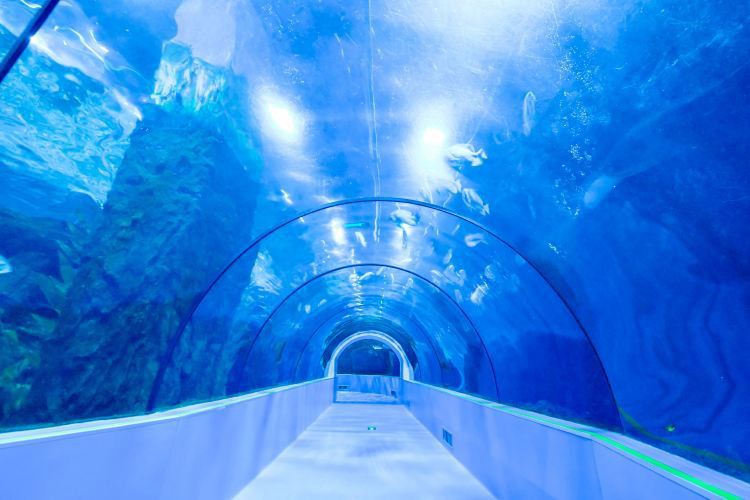 臺(tái)州水族店，臺(tái)州海洋世界:臺(tái)州海洋世界博雅地名分享網(wǎng)臺(tái)州海洋世界