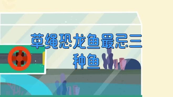恐龍王魚混養(yǎng)最怕三個東西，恐龍王魚混養(yǎng)三大禁忌