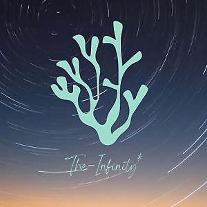 豬鼻龜沒有水能活么視頻講解(豬鼻龜沒有水能活么視頻講解)