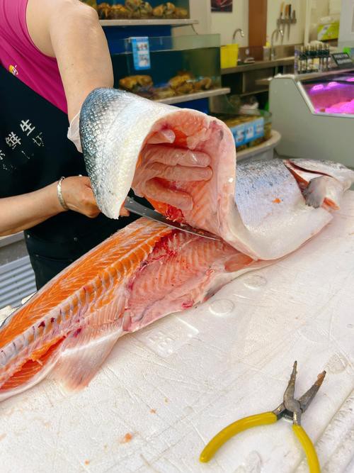 三紋魚圖片大全大圖，《三紋魚圖片大全大圖》