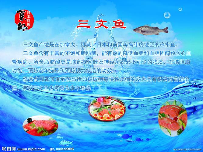 三紋魚圖片大全大圖，《三紋魚圖片大全大圖》
