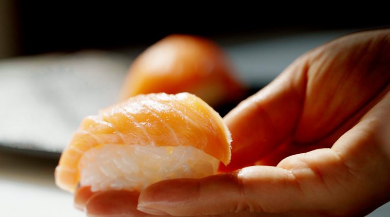 三紋魚圖片大全大圖，《三紋魚圖片大全大圖》