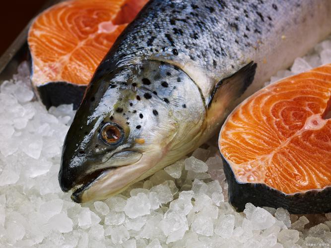 三紋魚圖片大全大圖，《三紋魚圖片大全大圖》