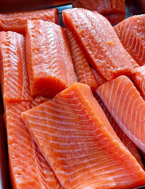 三紋魚圖片大全大圖，《三紋魚圖片大全大圖》