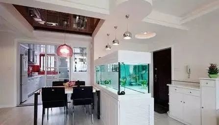 開門就見魚缸 正對大門，《開門就見魚缸正對大門》魚缸擺放位置與注意事項(xiàng)