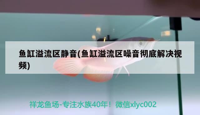福鼎市水之戀水族館（福鼎市水之戀水族館電話號碼）