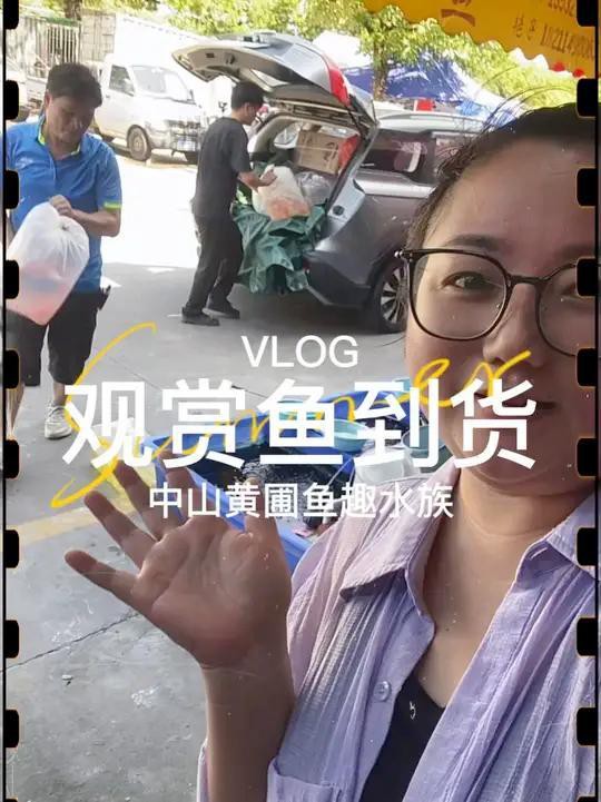 屯留水族店，屯留水族店哪家口碑最好