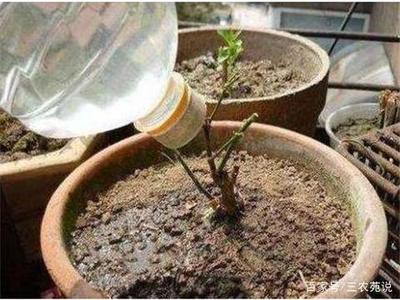 用水桶怎么做魚缸過濾(用水桶怎么做魚缸過濾器)