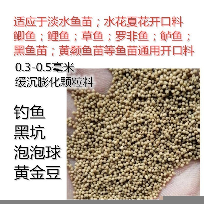 銀龍魚好養(yǎng)嗎注意些什么事項(xiàng)呢(銀龍魚好養(yǎng)嗎注意些什么事項(xiàng)呢)