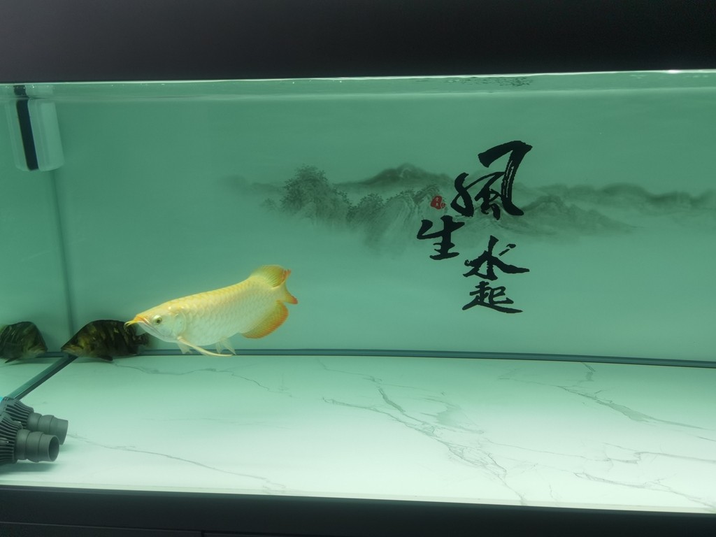 節日快樂[ciya]