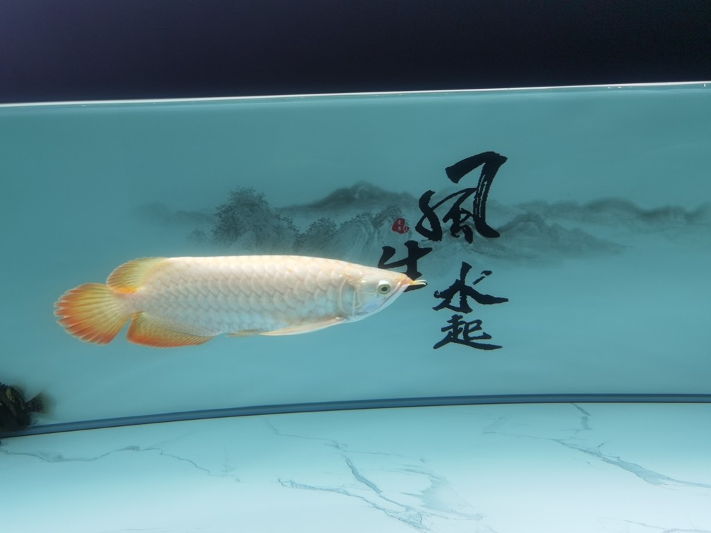 節日快樂[ciya]
