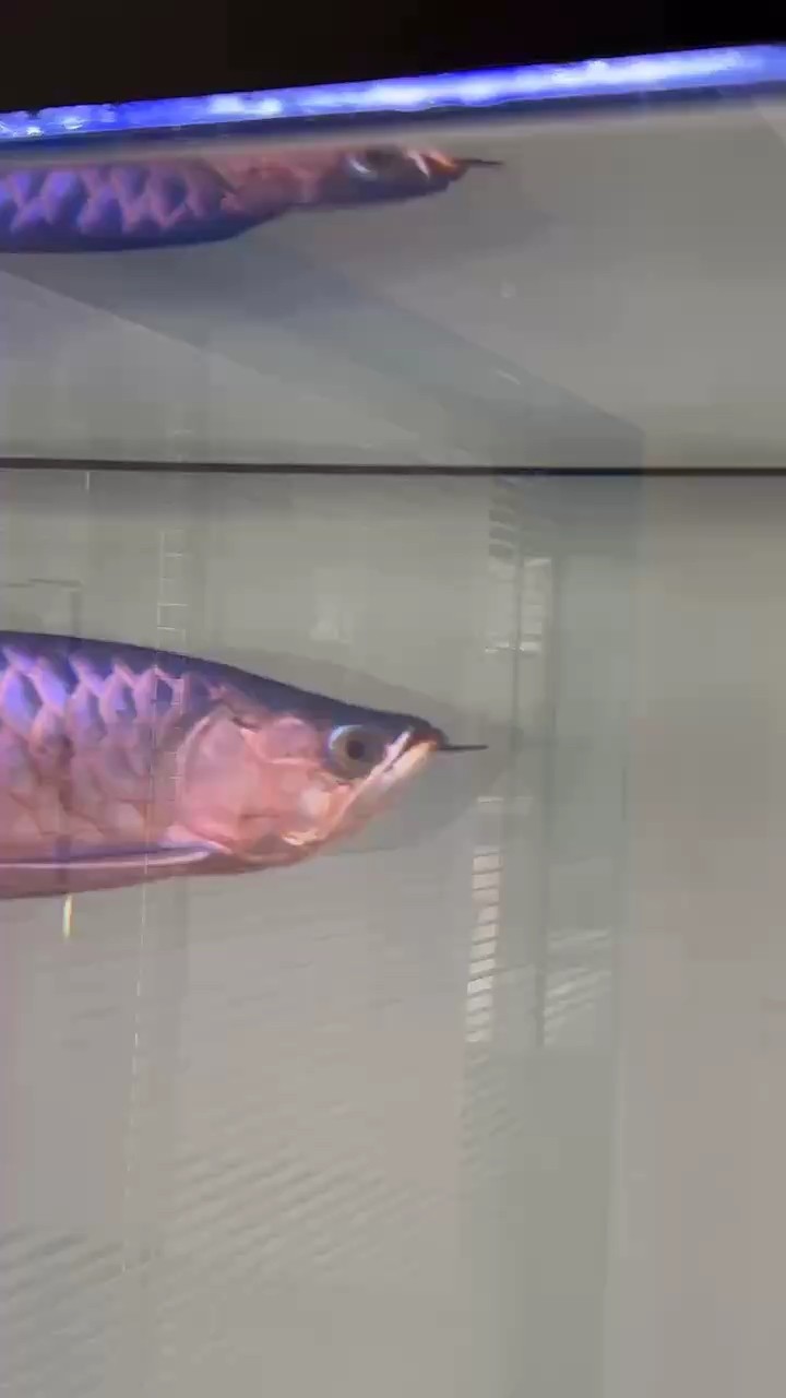 這是什么情況兄弟們
