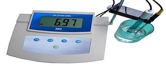 趴地虎魚圖片及價格(趴地虎魚怎么養喂什么料)