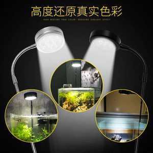 文山壯族苗族自治州水族館vs祥龍魚場（文山壯族苗族自治州水族館與祥龍魚場各有特點）