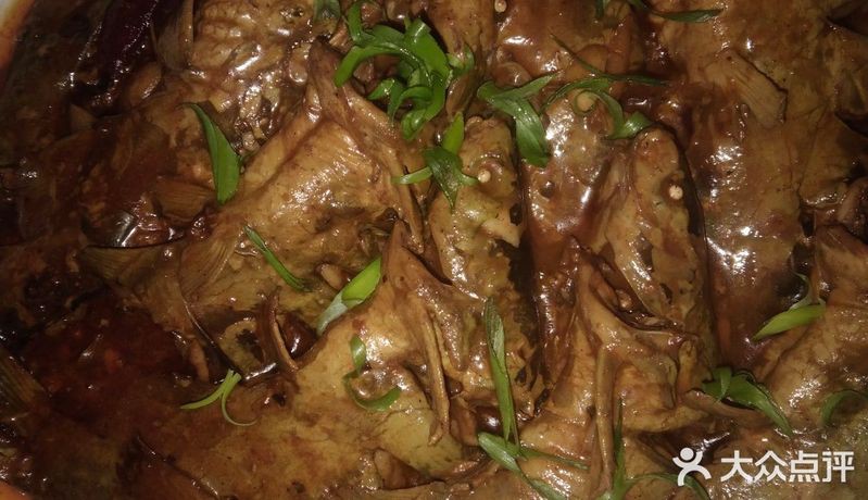 烏蘇龍魚店，深圳烏蘇龍魚店