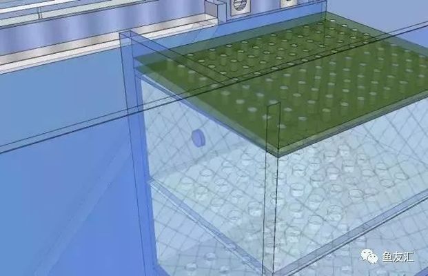 側濾魚缸怎么改裝好看：魚缸側濾改造方法