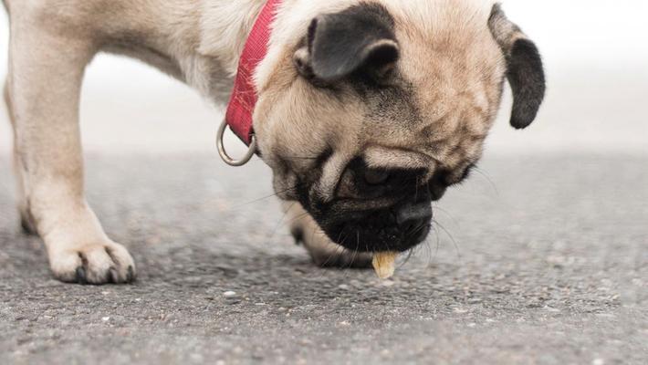 紅龍魚用什么燈光發色好