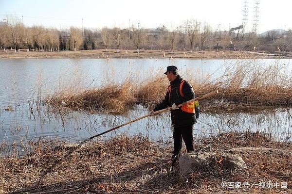 和金龍魚很像的魚是什么魚(和金龍魚一樣的魚是什么魚)