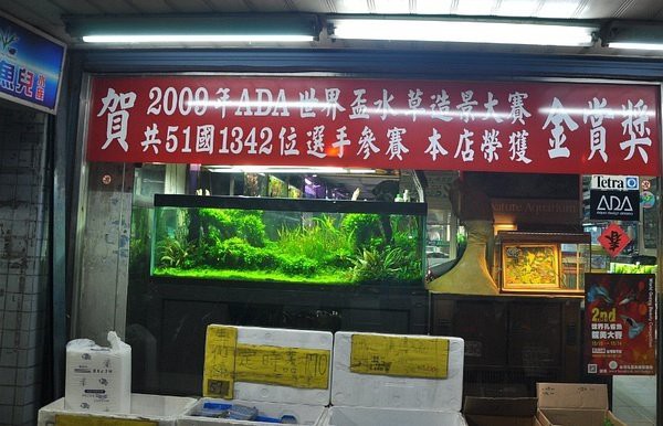 臺(tái)北龍魚店，臺(tái)北的龍魚店一般如何營業(yè)有沒有臺(tái)北龍魚店的聯(lián)系方式
