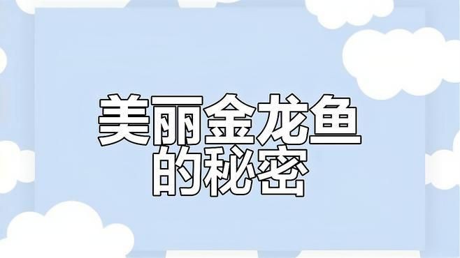 活體金龍魚，皇崗海關查獲非法攜帶入境的活體金龍魚案例（cites）