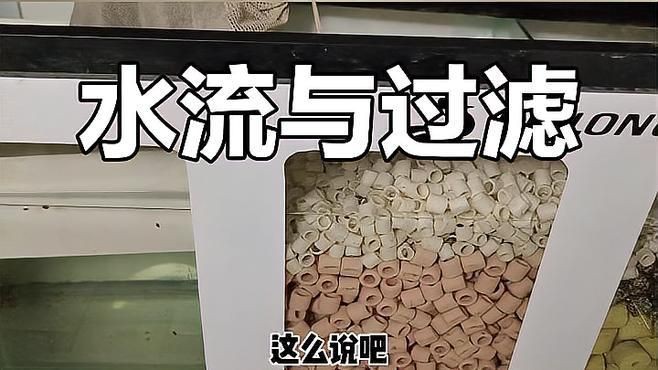 濾材是泡著好還是水流過好，濾材是泡著好還是水流過好靈魂畫師濾材擺放技巧