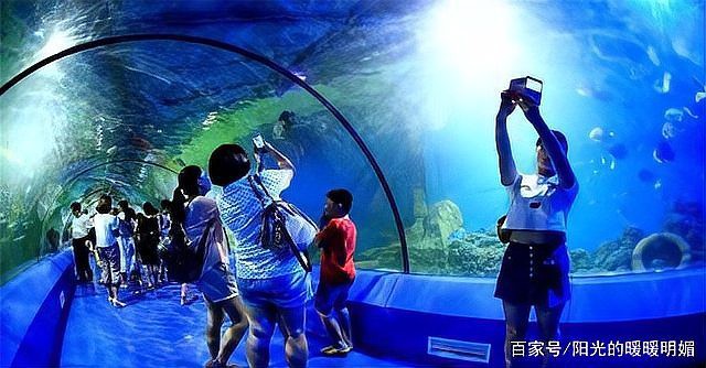 世界公認三大頂級魚缸，世界三大頂級水族館