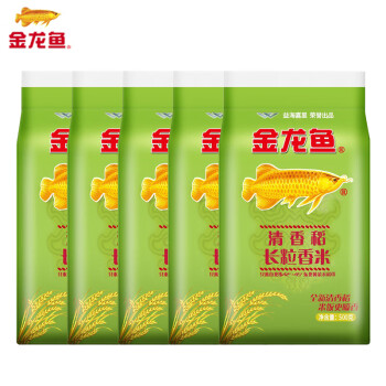 紅龍魚1年能長多大（紅龍魚1年能長多大呢）