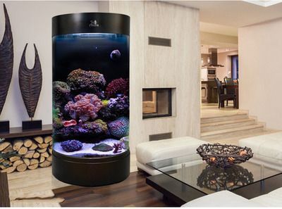 新鄉縣七里營鎮李臺四海騰龍水族飾品店（新鄉四海緣養殖設備地址）