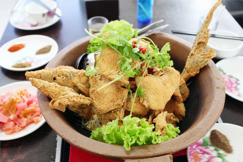 城西龍魚店，廣州城西區域龍魚店 城西龍魚店，廣州城西區域龍魚店 全國水族館企業名錄 第3張