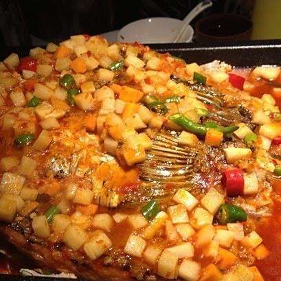 城西龍魚店，廣州城西區域龍魚店 城西龍魚店，廣州城西區域龍魚店 全國水族館企業名錄 第6張