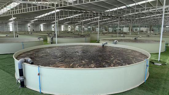 和田縣水族店，新疆和田海洋水族館