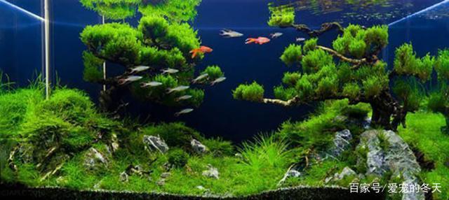 哈爾濱市道外區(qū)樂萬家魚缸商店（哈爾濱萬家樂生鮮超市）