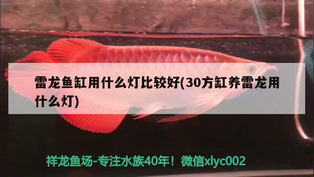 魚缸萬能藥有用嗎(萬能魚藥可以直接放魚缸嗎)