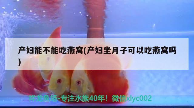 臨淄區雪宮問生堂保健用品店