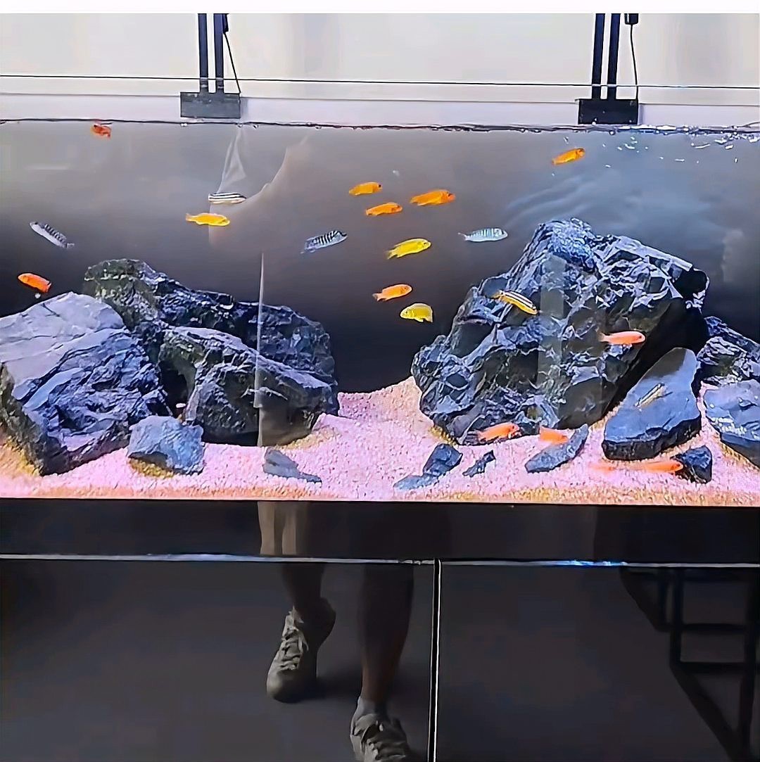 2025新型魚缸，2025年智能魚缸市場迎來革新浪潮58%11小米