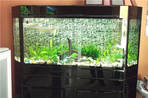 盤錦市興隆臺區鑫水源水族館（盤錦鑫源水利工程有限公司）