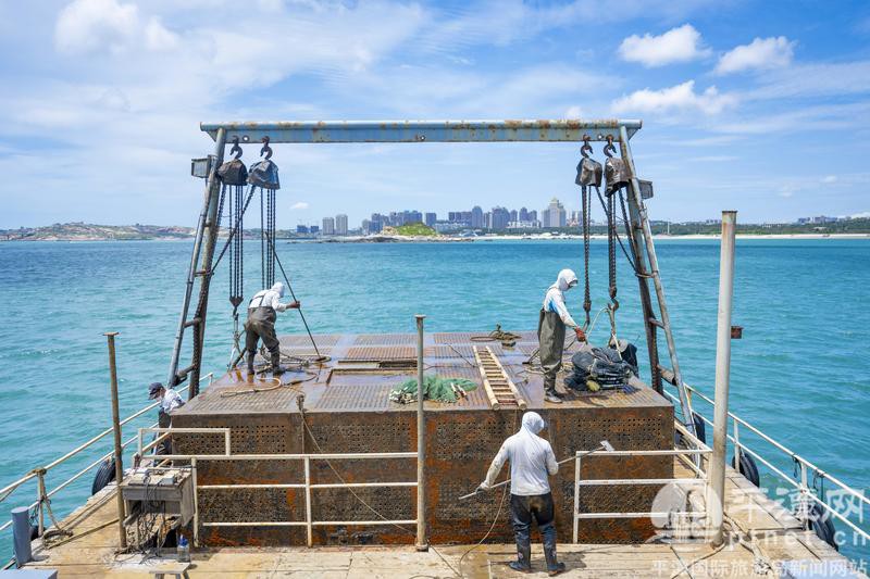 平潭龍魚店，平潭有哪些著名的龍魚店