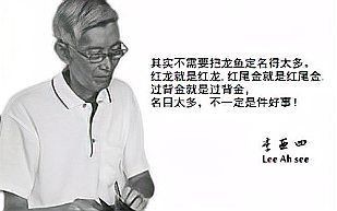 李亞四與龍魚結緣，《李亞四與龍魚結緣》