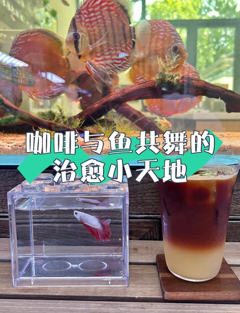 宜州水族店，宜州有哪些知名的水族店