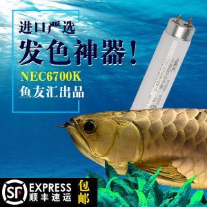 龍魚進口手續