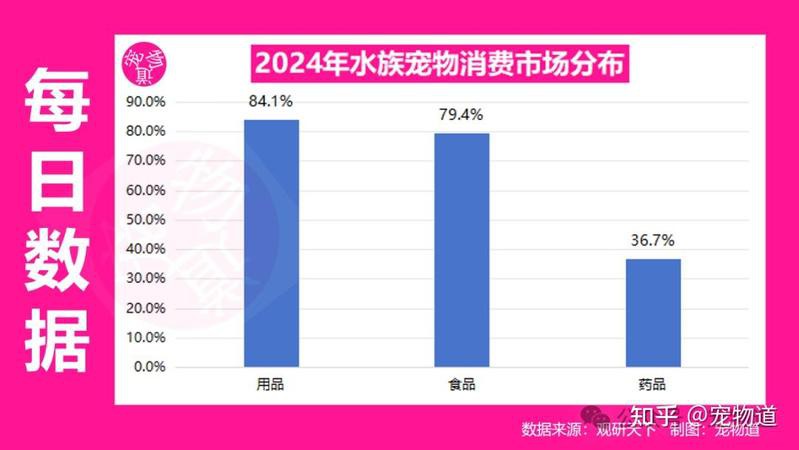 世界上最貴的狗頭魚多少錢，世界上最貴的狗頭魚價值探究狗頭魚的價值探究