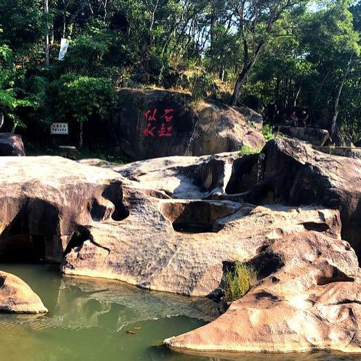 揭陽水族館【探秘揭陽水族館：一場跨越水陸的奇幻之旅】 揭陽水族館【探秘揭陽水族館：一場跨越水陸的奇幻之旅】 全國水族館企業名錄 第5張