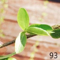 甲醛最多的6種魚【停止吃這6種魚，或含有甲醛和重金屬,看完請轉告身邊人,生活多知道】