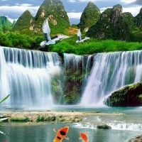 甲醛最多的6種魚【停止吃這6種魚，或含有甲醛和重金屬,看完請轉告身邊人,生活多知道】