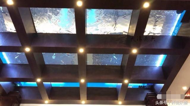 大型圓魚缸，探索豪華生活，大型圓魚缸的設計與 大型圓魚缸，探索豪華生活，大型圓魚缸的設計與 魚缸百科 第3張